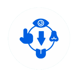 Visión, Oído, Respiratorio y Salud Bucal